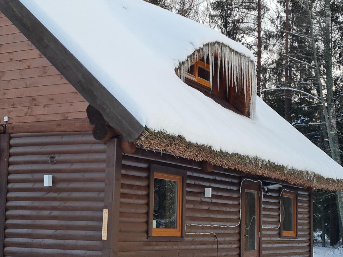 Pirts Maja Ramatas Villa Skulte  Kültér fotó