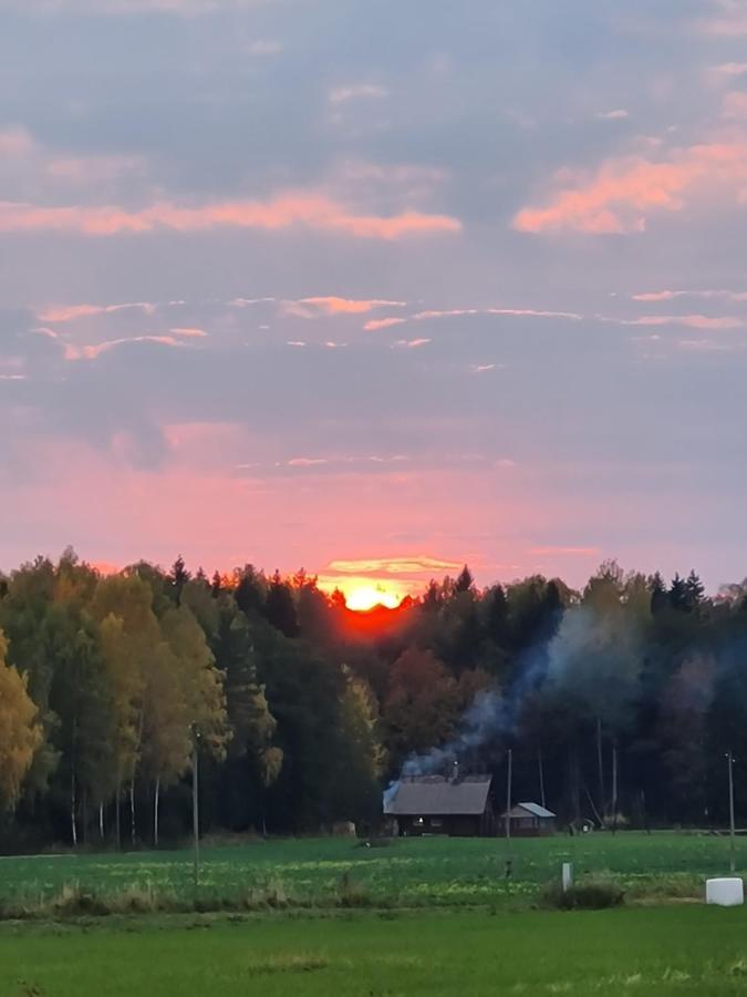 Pirts Maja Ramatas Villa Skulte  Kültér fotó